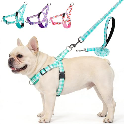 EXPAWLORER No Pull Small Dog Harness and Leash Set, Adjustable Soft Breathable Mesh Puppy Vest with Padded, Quick Fit Esca...