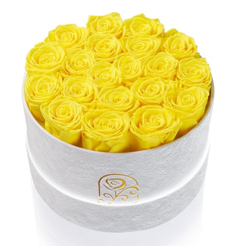 Gifts for Women Preserved Roses Flower Box, Luxury Velvet Box with 20 Roses, Preserved Flowers, Romantic Gift for Her, Wif...