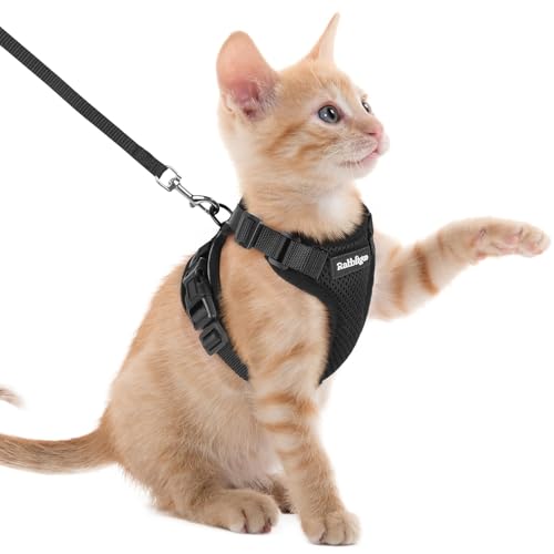 rabbitgoo Cat Harness and Leash for Walking, Escape Proof Soft Adjustable Vest Harnesses for Cats, Easy Control Breathable...