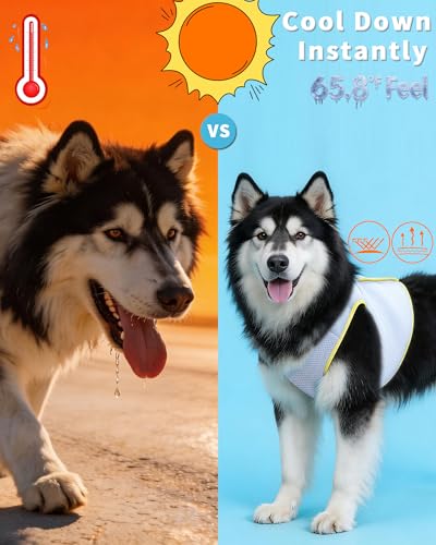 Huafly Dog Cooling Vest with Instant Chill-Heat Reflective Mesh Evaporative Dog Cooling Shirt,Adjustable Quick Release Coo...