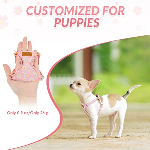 Lukovee Puppy Harness and Leash Set, No Pull Lightweight Soft Suede Adjustable Pet Harness Vest with Snap Buckle for Puppy...
