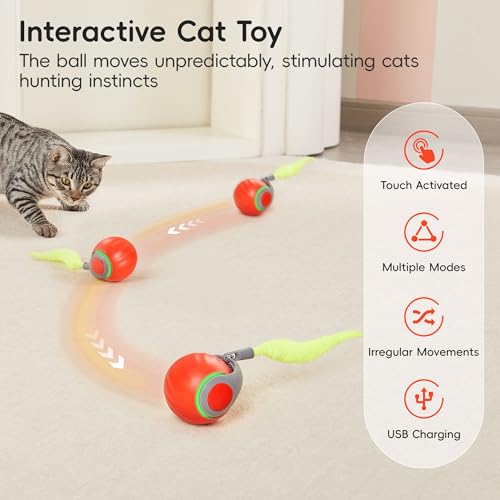 Potaroma Moving Ball Cat Toys with Feather Tail, Rechargeable 2025 New Interactive Toy for Indoor Cats Exercise, Smart Int...