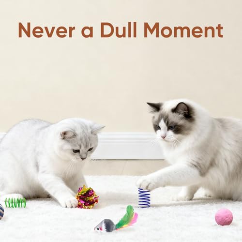 AGYM Cat Toys for Indoor Cats, 35 Packs Interactive Cat Toys Set with Colorful Springs, Mouse Cat Toy, Crinkle, Sisal, Pom...