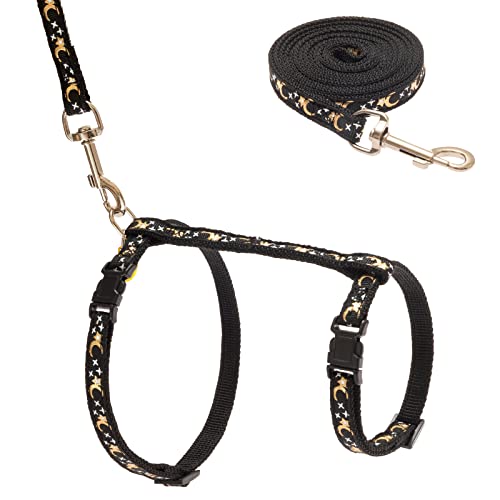 SCIROKKO Cat Harness and Leash Set - Escape Proof Adjustable for Outdoor Walking with Safety Buckle for Small Animals Glow...