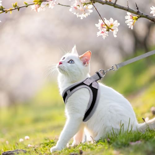 SCENEREAL Cat Harness and Leash Set Escape Proof, Adjustable Soft Air Mesh Kitten Harnesses for Girls Boys Small Medium Bi...