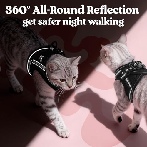 rabbitgoo Cat Harness and Leash Set for Walking Escape Proof, Adjustable Soft Kittens Vest with Reflective Strip for Cats,...