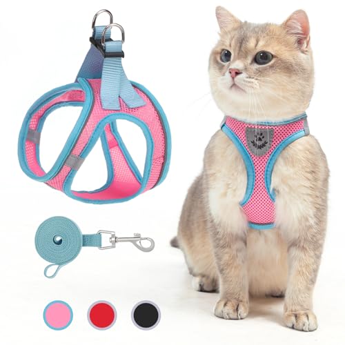 SCENEREAL Cat Harness and Leash Set Escape Proof, Adjustable Soft Air Mesh Kitten Harnesses for Girls Boys Small Medium Bi...
