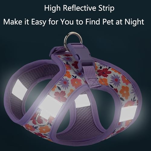 Small Dog Harness and Leash Set, Step in Dog Harness No Pull for Walking Running Training, Puppy Essentials for Dogs Cat B...