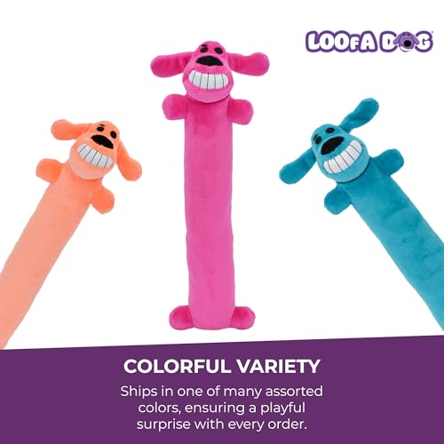 Multipet Original Loofa Dog Plush Toy - Squeaky Toy for All Dogs - Extra Soft Plush - Stuffed Animal Dog Toys for Playing...