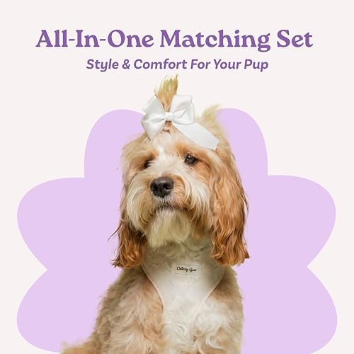 Large Dog Harness Set – Cute No Pull, All Weather, Breathable Harness and Leash Set with Collar, Bandana, Sailor Bow & Poo...