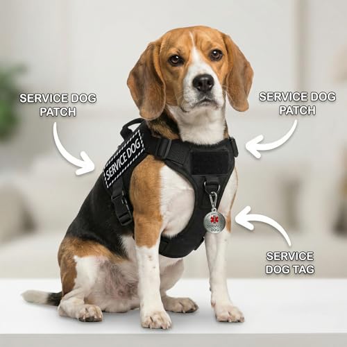 FITZNORA Service Dog Patches 2 Pcs and Tag Set Hook and Loop Backing with Pendant for Harness and Collar (X-Small, 3.8 x 1...