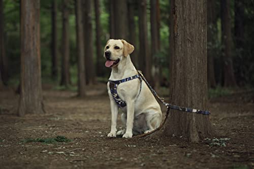 Dog Harness, No Pull Dogs Harness and Multi-Function Leash Set for Medium Dogs Easy Walk Everyday Adjustable Soft Dog Vest...