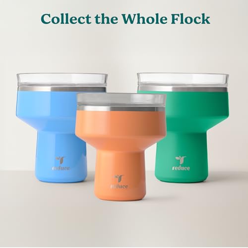 REDUCE Saltini 16 oz Cocktail Tumbler - Insulated Margarita Tumbler with Lid - Keeps Drinks Cold for 10 Hours - 360 Sippab...