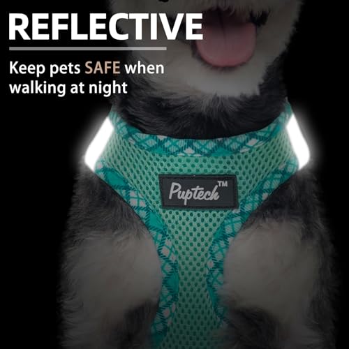 PUPTECK Dog Harness and Leash Set for Small Medium Dogs No Pull Step-in Soft Mesh Puppy Cat Vest Harnesses Reflective at N...