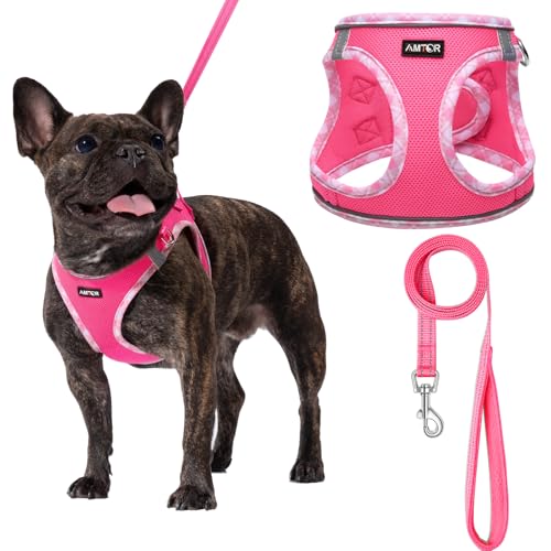 AMTOR Small Dog Harness with Leash Set, No Escape Easy Walk Puppy Harnesses for Training Walking, Step-in Reflective Soft ...