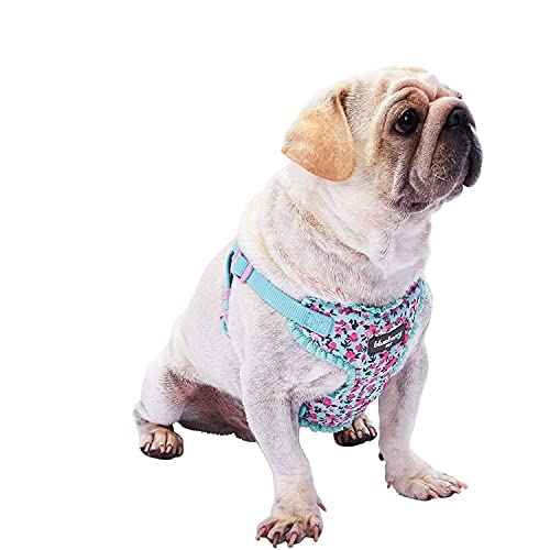 Blueberry Pet Soft & Comfy Made Well Cute Floral No Pull Mesh Dog Harness Vest in Light Blue, Chest Girth 17.5"-21", Smal...