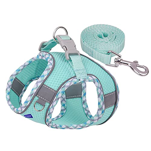 BTDCFY Step in Mesh Dog Harness and Leash Set - Breathable Air Mesh Reflective Escape Proof Vest - No Choke, Lightweight -...