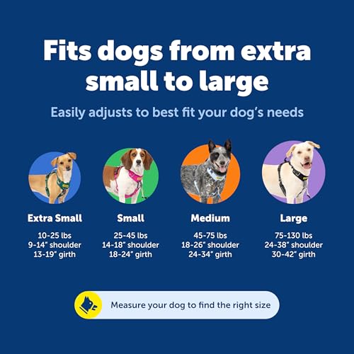 PetSafe Easy Walk Comfort No-Pull Dog Harness - Better Walk Training Harness - Full Body Padded Design - Durable Fabric - ...