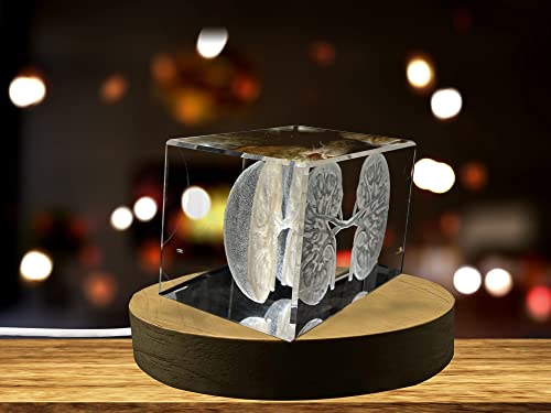 Kidneys | 3D Engraved Crystal Keepsake | Gift/Decor | Collectible | Souvenir | Personalized 3D Crystal Photo Gift | Custom...