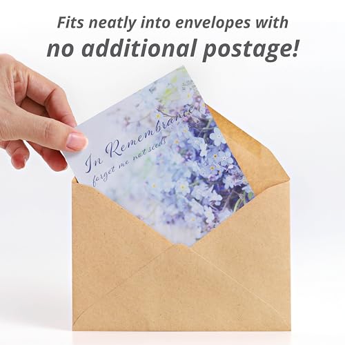Bentley Seed Co. | in Remembrance Love Left Behind Non-GMO, Non-Coated Forget Me Not | Gardening Gifts | Flower Seeds for ...