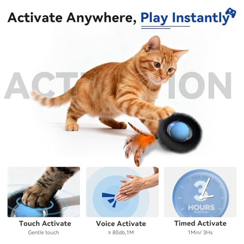 KiwiLove Interactive Cat Toy with Motion Activated Ball & 7-Hole Play Mat, Hide and Seek Exercise Game for Indoor Cats, Au...