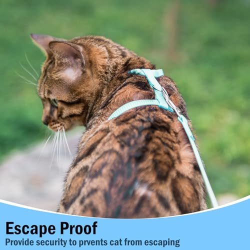 PUPTECK Adjustable Cat Harness and Leash Set Escape Proof Kitten Strap Collar for Walking Travel, SkyBlue