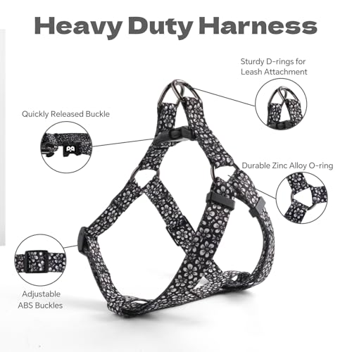 QQPETS Dog Harness Leash Set Adjustable Heavy Duty No Pull Halter Harnesses for Small Medium Large Breed Dogs Back Clip An...