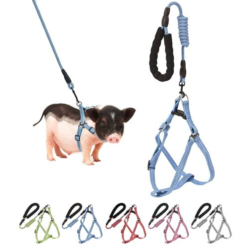 Mini Pig Harness, Adjustable Small Pig Harness with Leash Infinity Style Lead and Soft Foam Handle for Small to Medium Pet...