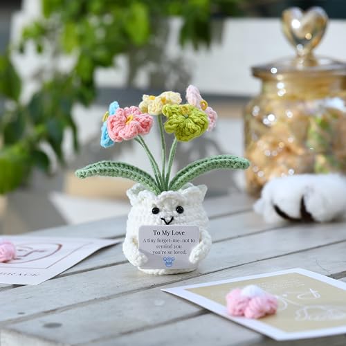 YOOJEE Forget-Me-Not Crochet Gifts for Him Her Boyfriend Girlfriend Birthday to My Love Handmade Valentines Day Flower Pla...