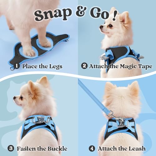 rabbitgoo Dog Harness Small Sized and Leash Set, Step-in Breathable Pet Harness, Soft Walking Reflective Puppy Vest for Sm...