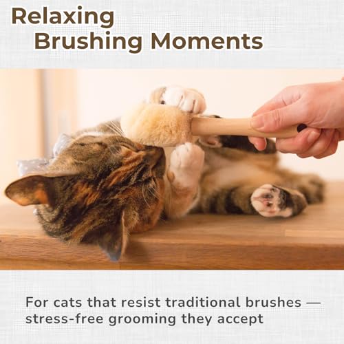 Wablade Cat Brush, Gentle Grooming Brush for Sensitive Cats & Kittens – Soft Grooming & Massage, Gently Removes Loose Surf...