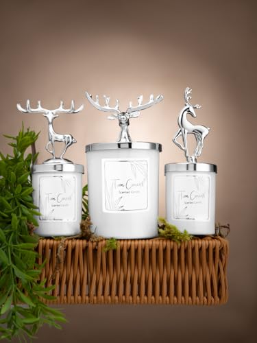 Tiem Concept Scented Candles Gift Set 3-Piece for Women, 3-Piece Vanilla Scented White Wax Candles, Total 9,53 oz, Scented...