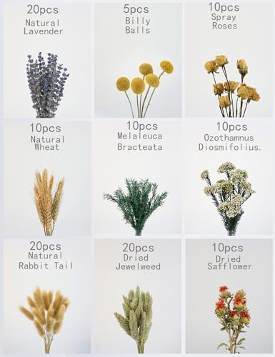 DIY Natural Dried Flower Set, Bulk Dried Flowers for Vase, Dried Flowers with Stems, Dried Roses, Mini Dried Flower Bouque...