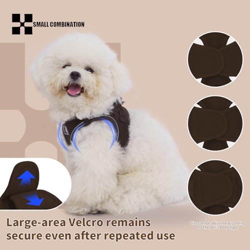 SMALL COMBINATION Adjustable Dog Harness with Leash, Reflective Mesh, No-Pull Design，Matching Lead Rope (Brown, XXXS)
