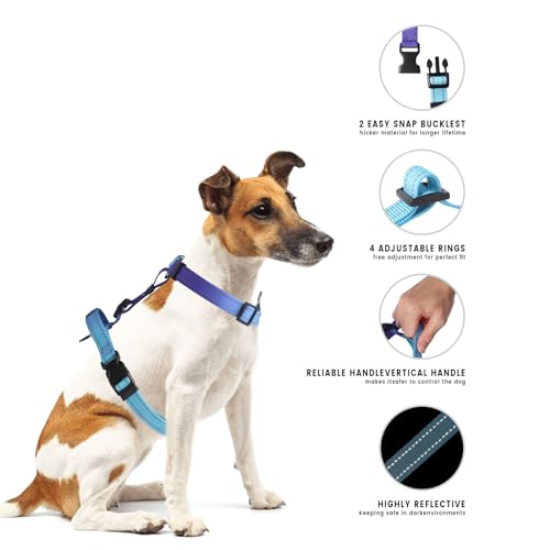 Roses&Poetry Dog Harness and Leash Set for Mediumn Dogs, No Pull Dog Harness Adjustable Reflective, Dog Halter Harnesses C...