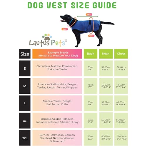 Lautus Pets Dog Cooling Vest – Lightweight Summer Jacket for Dogs with Zip Neck & Velcro – Easy On/Off Cooling Coat for Wa...