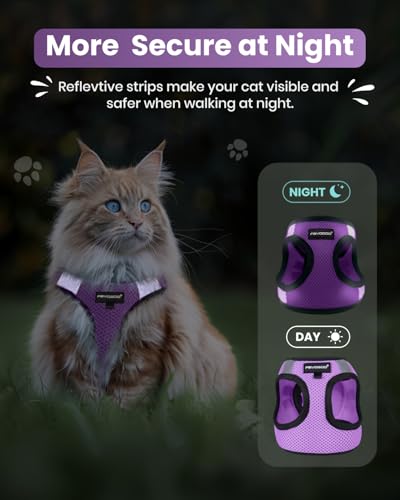FAYOGOO Cat Harness, Cat Leash and Harness Set for Walking Escape Proof, Harness for Small Cats/Small Dogs, Large Kitten/P...