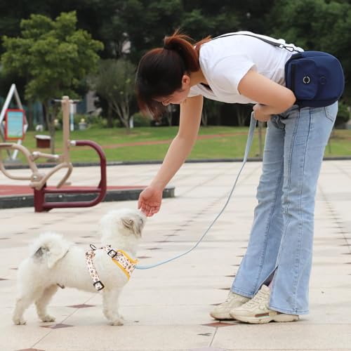 Dog Cat Harness and Leash Set, Puppia Soft Mesh Padded and Adjustable Puppy Vest Cute Dog Clothes Escape Proof Easy Walk P...