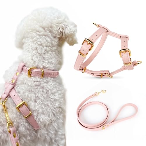 Luxury No Pull Dog Harness and Leash Set, PU Leather Escape-Proof Design, Anti-Choke Comfort, Front/Back Attachment, Essen...