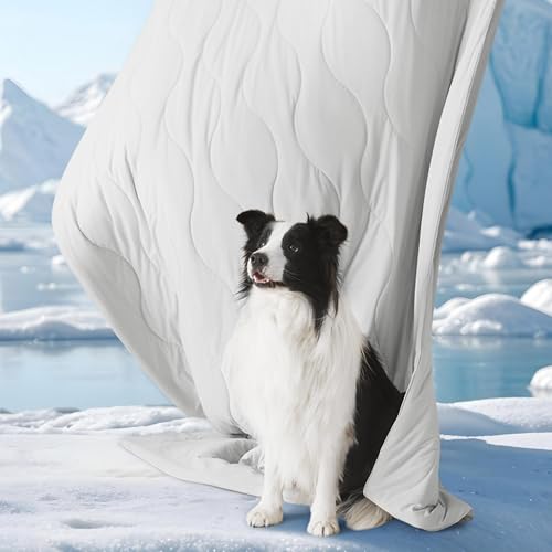 Bedsure Premium Cooling Blanket for Medium Dog - Q-MAX>0.5, Breathable Summer Washable Cold Pet Throw Blanket, Soft Durabl...