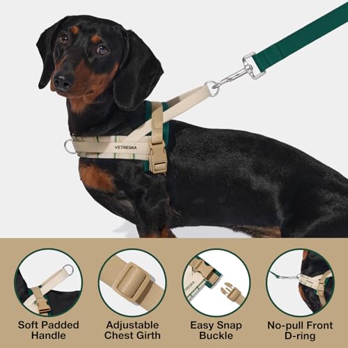 VETRESKA Dog Harness and Leash Set, Easy Walk Dog Harness for Large Medium Dogs, No Pull Puppy Harness for Walking and Tra...