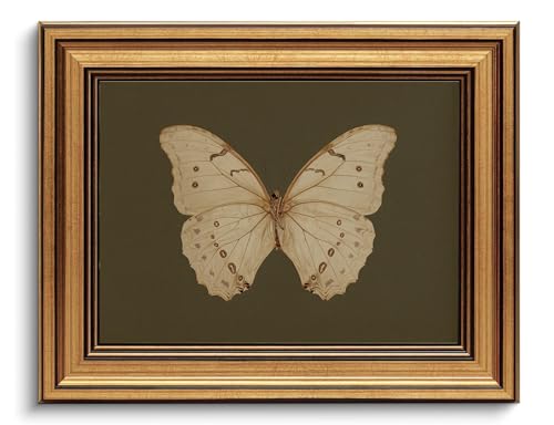 Gold Framed Wall Art Vintage Butterfly Canvas Wall Art White Butterfly Moody Insect Artwork Prints Picture for Living Room...