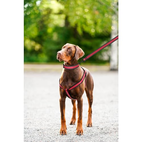 Mile High Life Night Reflective Double Adjustable Band Nylon Small Puppy Pet Dog Combo Collar Leash and Harness Set (Refle...