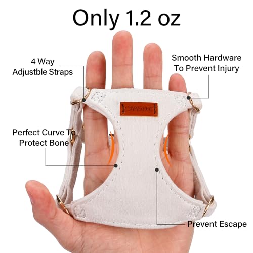 No Pull Dog Harness- Lightweight, Soft, Adjustable Small Harness Collar and Leash Set, Suitable for Cats Puppy Small and M...