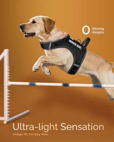 FAYOGOO Service Dog Vest for Large Dogs - Air Mesh Breathble Emotional Support Animal Vest with DIY Removable Patches - Do...