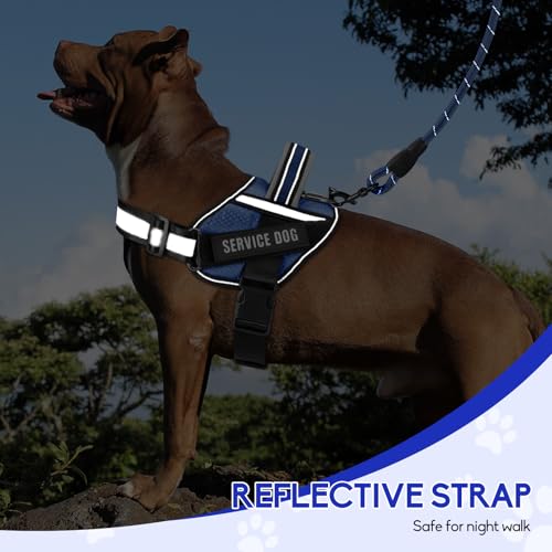 Service Dog Vest Harness and Leash Set, Animire in Training Dog Harness with 10 Dog Patches, Reflective Dog Leash with Sof...