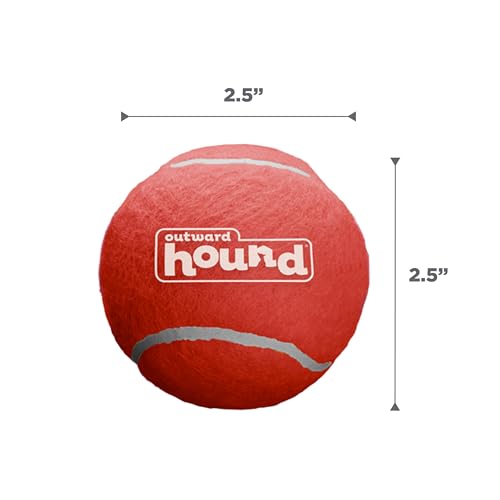 Outward Hound Squeaker Ballz – Squeaky Tennis Balls for Dogs Under 50 lbs, Interactive Dog Toy for Fetch & Training, Mediu...