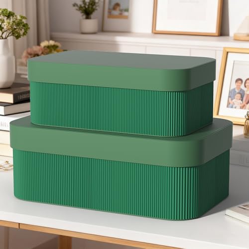 Decorative Storage Boxes with Lid - Multi-Purpose Cardboard Organizer Bins for Your Home Decor, Set of 2 Decorative Contai...