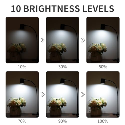 Dott Arts Desk Lamp,USB Clip On Light,Book Lights for Reading at Night,3 Color Modes,10 Brightness Clamp Lights,360° Goose...