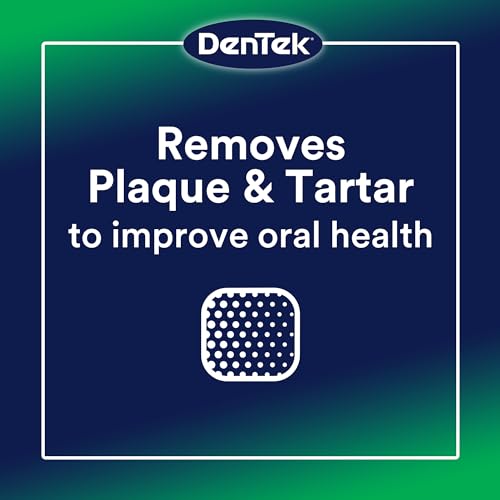 DenTek Professional Oral Care Kit, Complete Set of Dental Tools Including Mirror, Dental Pick, Scaler & Stimulator